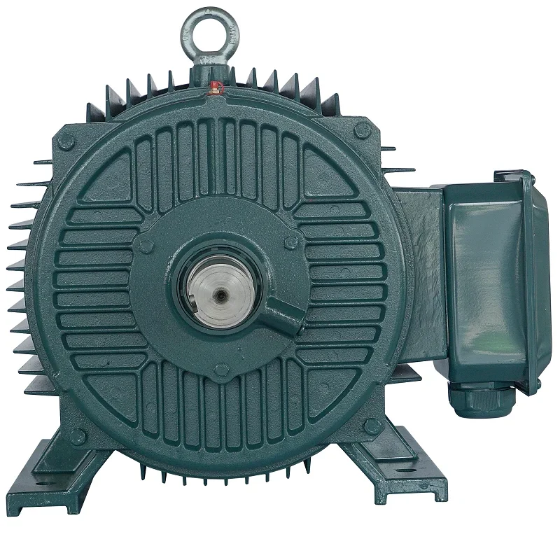 Hot Sales YE2 Series 15kw 380V AC Three Phase  Asynchronous Electric Motor 100% Copper Cast Iron Industrial