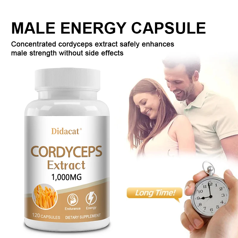 Cordyceps Sinensis Mushroom Extract, Cápsulas Vegetarianas, Reabastecer Energia Natural, Não Biológico Modificado