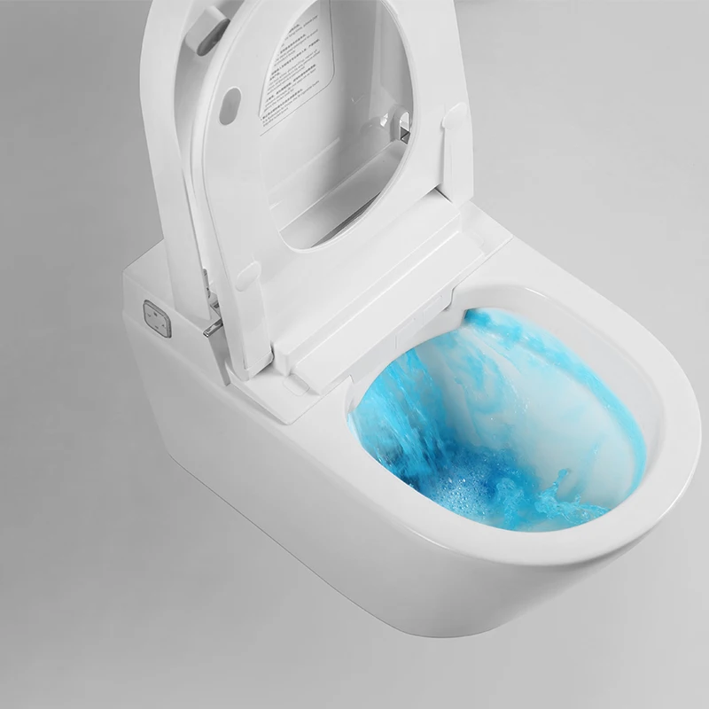 قطعة واحدة من بيديت ذكي للتدفق التلقائي، صهريج مخفي متضمن على الحائط، مرحاض ذكي