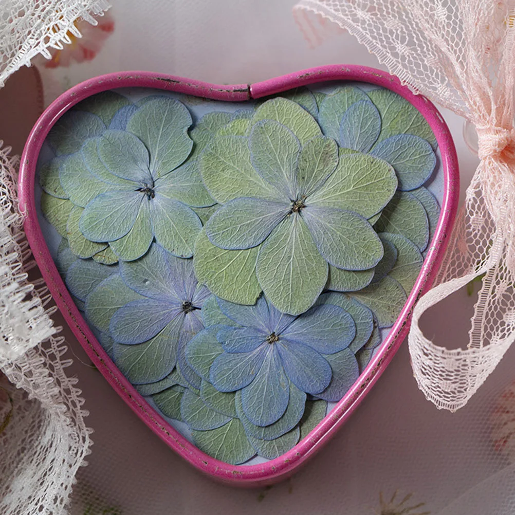 30 قطعة الفاوانيا المزدوجة الزهور المجففة ضغط المواد الحرفية الطبيعية لتقوم بها بنفسك لشموع الراتنج مجوهرات سكرابوكينغ الديكور السائبة الصغيرة