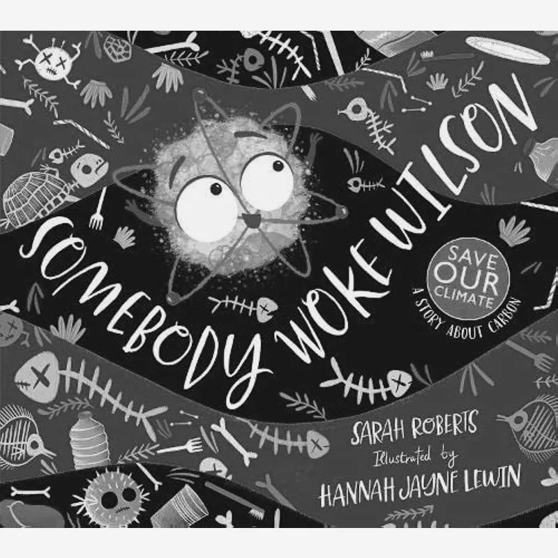 

Hannah Jayne LewinSomebody Woke Wilson Sarah Roberts Scholastic UK 9780702314032 Book