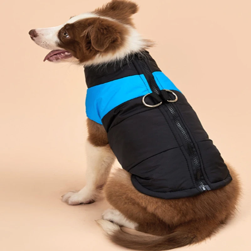 Abrigo de invierno de alta calidad para perros, chaqueta con cremallera, ropa cálida para perros pequeños y grandes