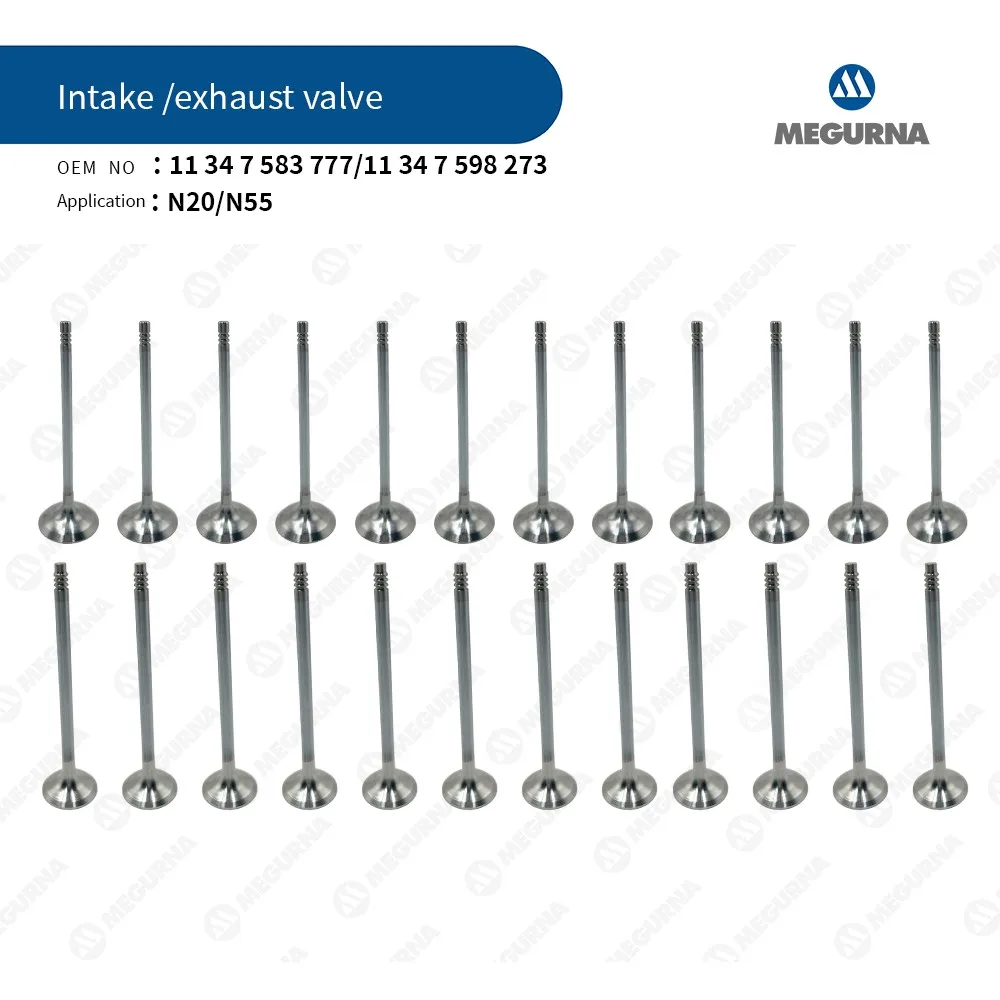 

24pcs Intake & Exhaust Valve Kit Fit N20 2.0T L N55 3.0T L V6 Gas For BMW 1,2,3,4,5,6,7 Series 220i 228i M235i X1 X3 X4 X5 X6 Z4