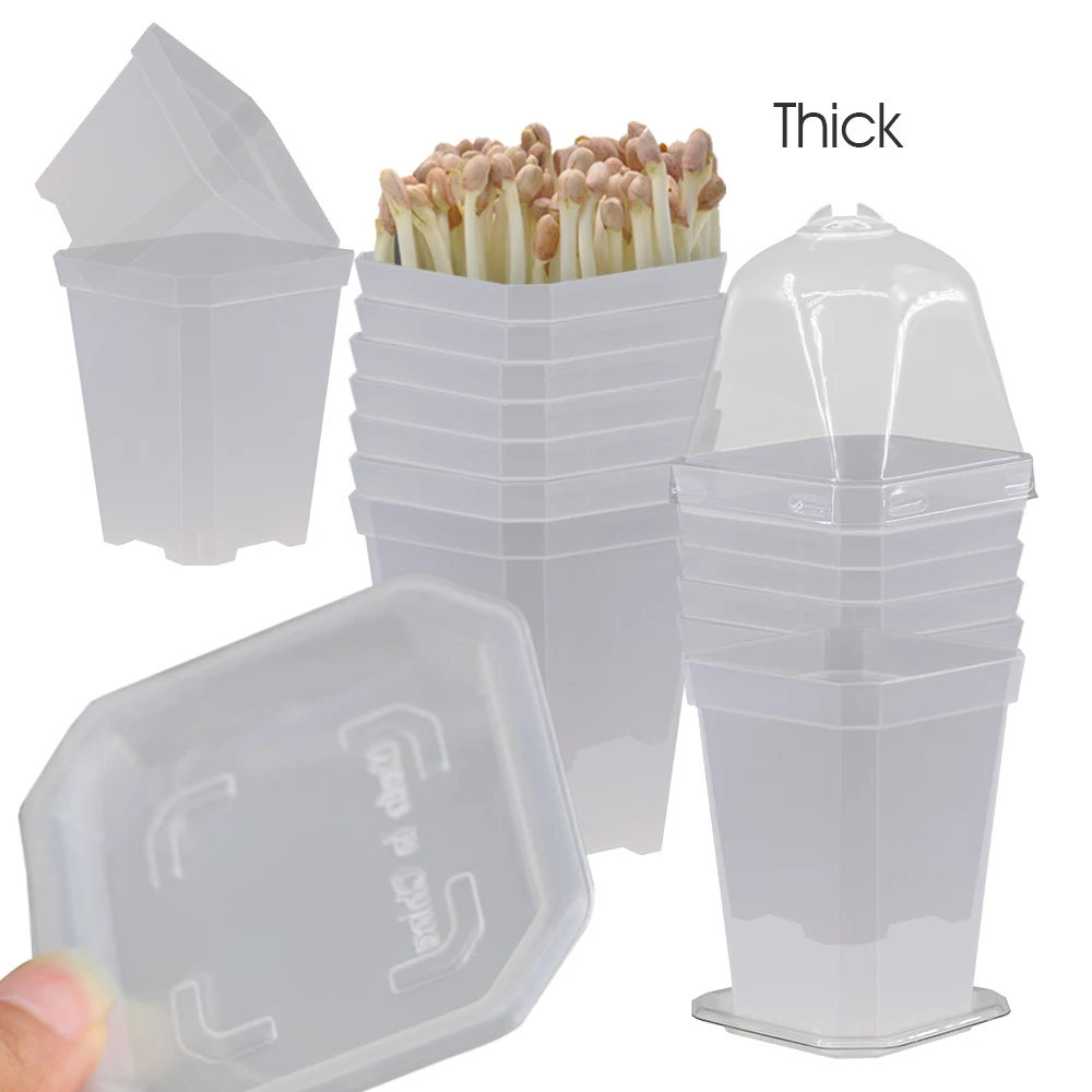 

5/10/20PCS Translucent Square Plants Nursery Pot with Tray for Home Garden Herbs Flower Succulent Cultivate Planter Seedling Cup