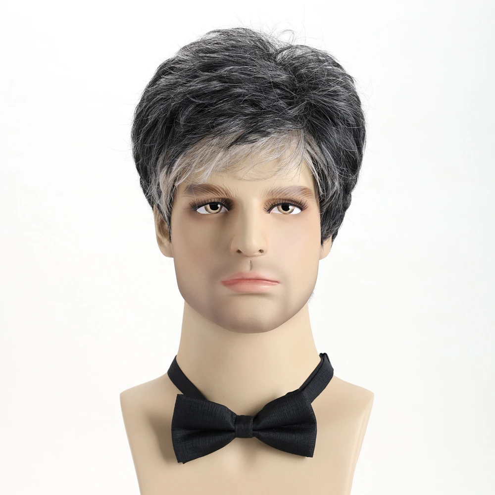 Men's Short Synthetic Wig 10 inch Salt and Pepper Gray Layered Hair with Side Swept Bangs for Daily Wear and Parties