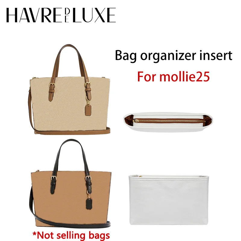 إدراج منظم الحقائب لمدرب مولي 25 حقيبة عصرية متينة تدعم ملحقات حقيبة التعديل الداخلية للتخزين #1