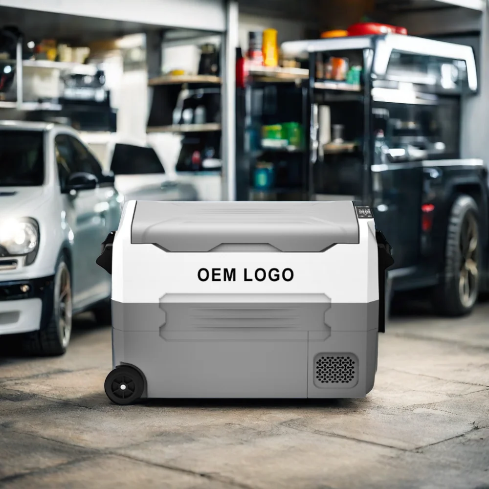 

Freezer Dual Zone Fridge Rapid Cooling 30L 40L 50L for Fishing Overseas Refrigerator