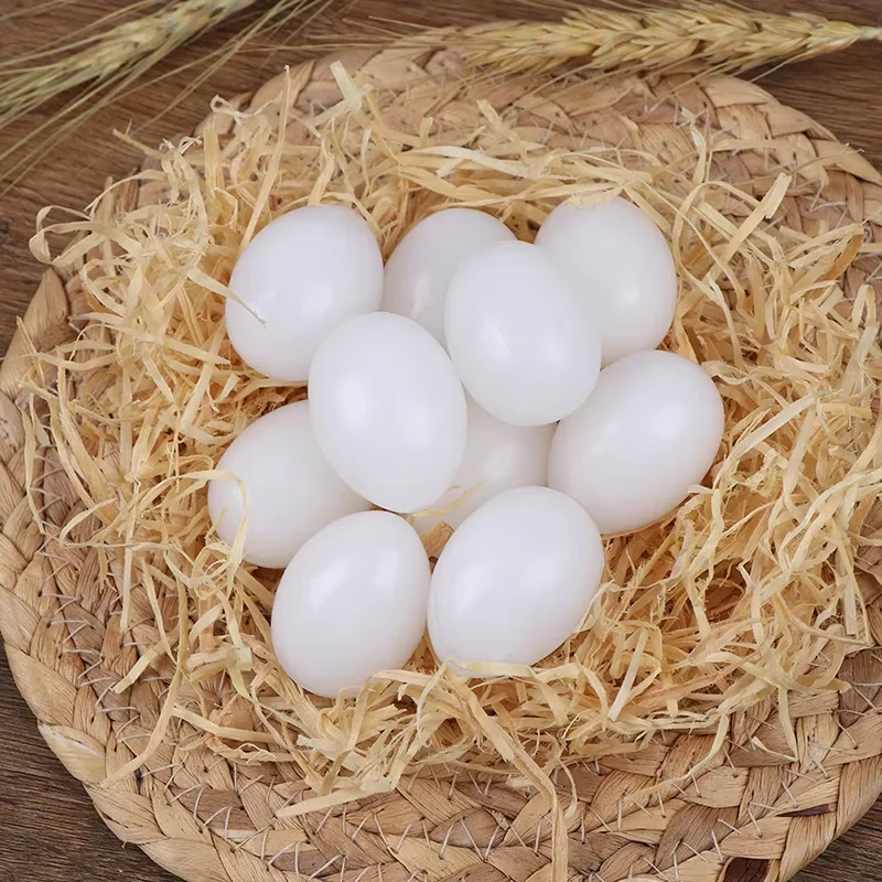 10pcs/lot Pigeon False Eggs Filled White Plastic Simulation For Hatch Breeding Supplies