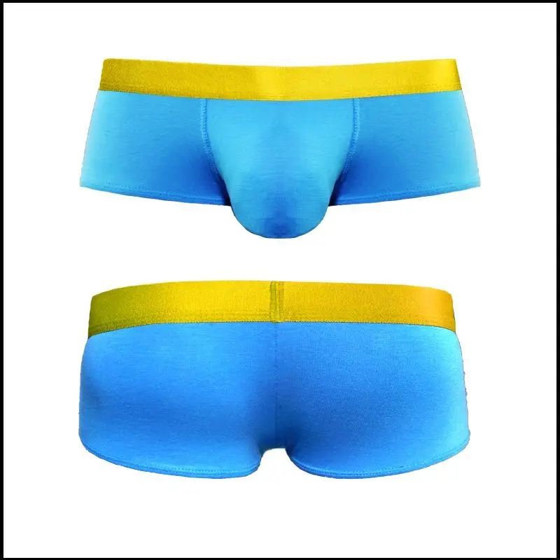 Low Waist Man Bulge Penis Pouch Underwear Big Cock Boxers Gay U-Convex Dick Boxers Enhance Sexy Lingerie Underpants Sex Briefs
