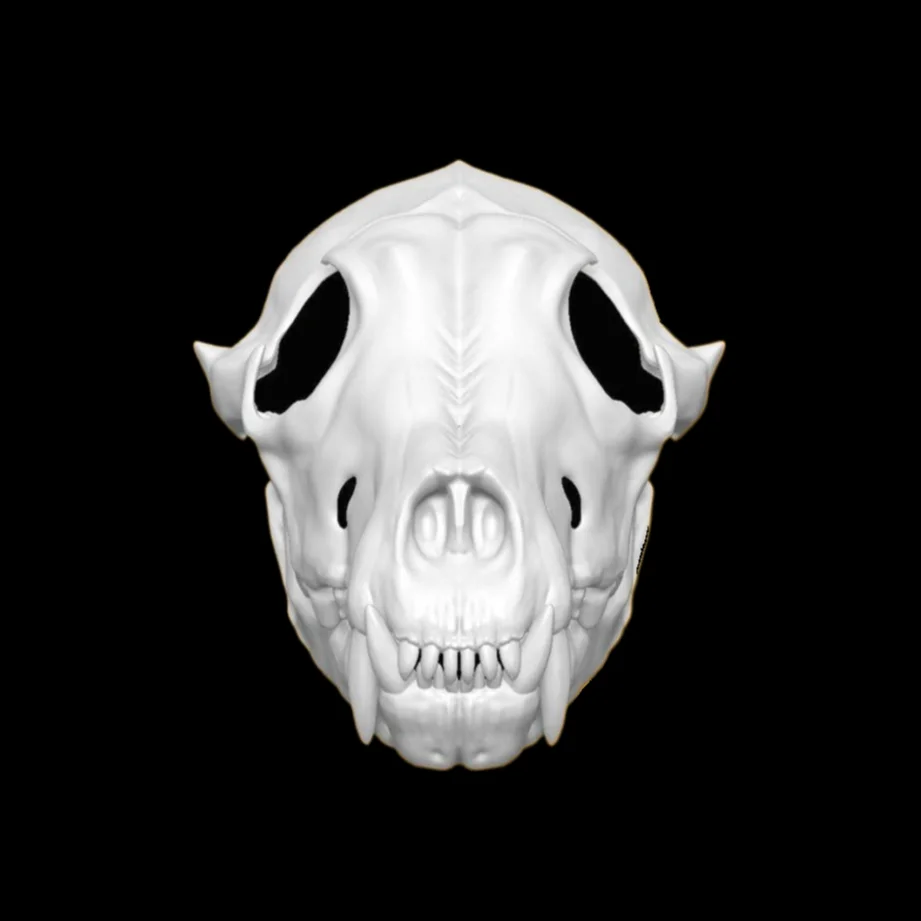 Fursuit Head Base Realistic Beast Costume Skull Bone Wolf Beast Costume 3D Printing Furry DIY Anime Accessories Cosplay Props