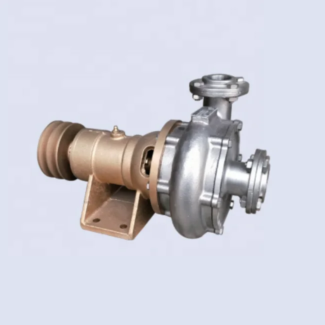 قطع غيار محرك الديزل البحرية 2 بوصة مضخة مياه البحر الكهربائية لوعاء سفينة القوارب