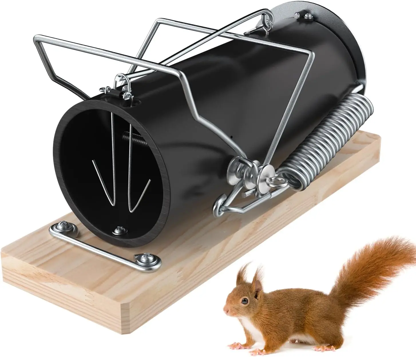 

Stainless Steel Circular Squirrel Trap for Outdoor and Garden Use, 1 Pack