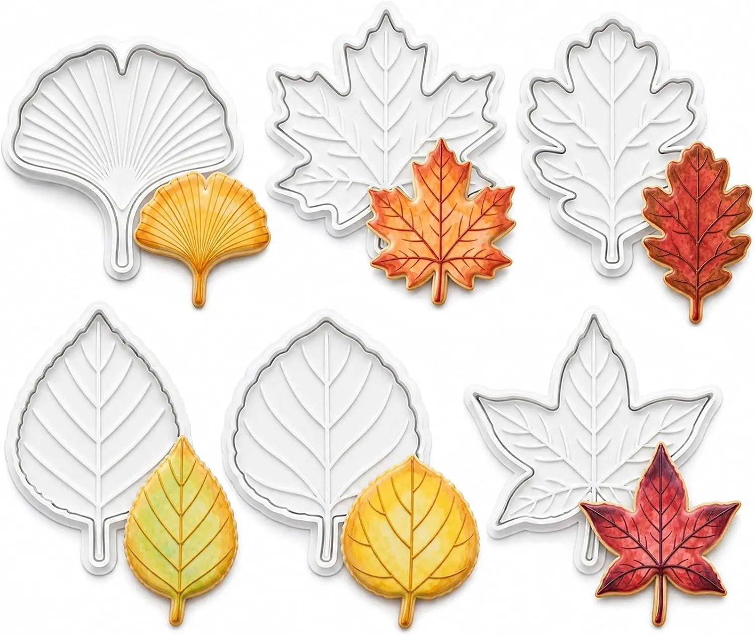 Fall Leaf Cookie Cutter & Embosser Set of 6 Maple, Oak, Ginkgo, Birch, Aspen, Sweetgum 6