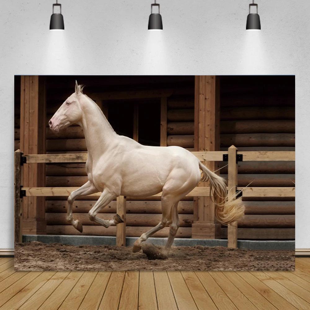 تشغيل الحصان المراعي السماء الزرقاء غائم المشهد فوتوزون التصوير خلفية الصورة خلفية فوتودعوة للصور استوديو الدعائم