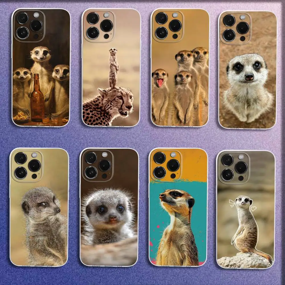 

Phone Case For iPhone 16,15,14,13,12,11 Plus,Pro,Max,XR,XS,Plus,E,Mini Leopard Funny Lovely Meerkat Transparent Cover