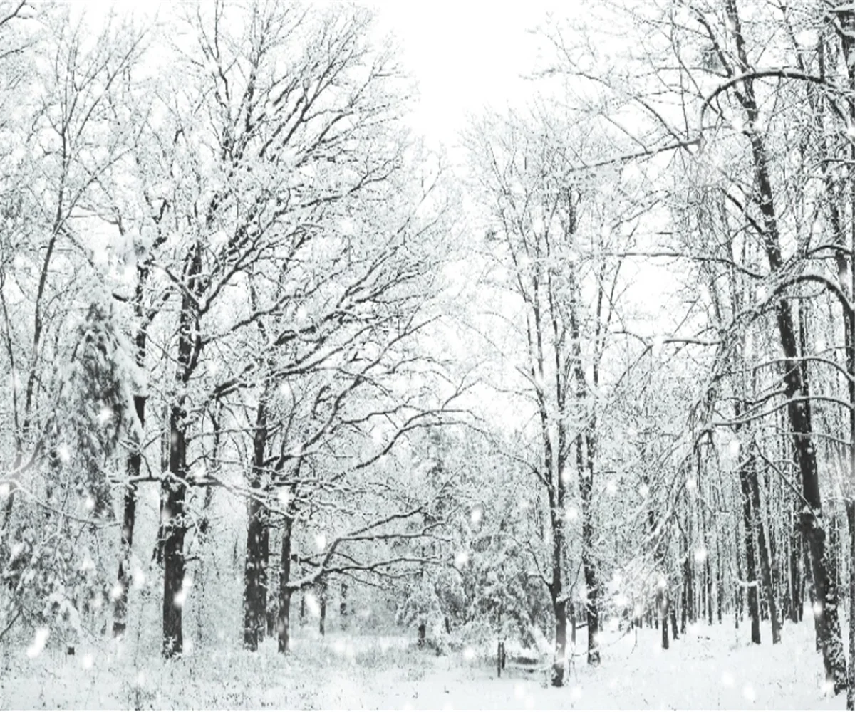 

Customized wallpaper Snow birch forest landscape winter photo mural home decoration living room bedroom wall paper papier peint