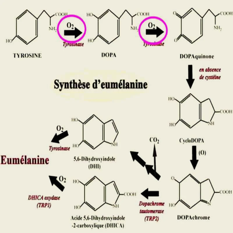 สบู่ก้อนถ่านสำหรับทำความสะอาดผิวหน้าและผิวกายช่วยให้ผิวขาวกระจ่างใสทำจากถ่านสบู่รักษาสิวเส้นบิกีนี่ช่วยให้ผิวขาวกระจ่างใสสบู่ผิวหมองคล้ำ