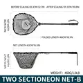 Two sectioneon-B