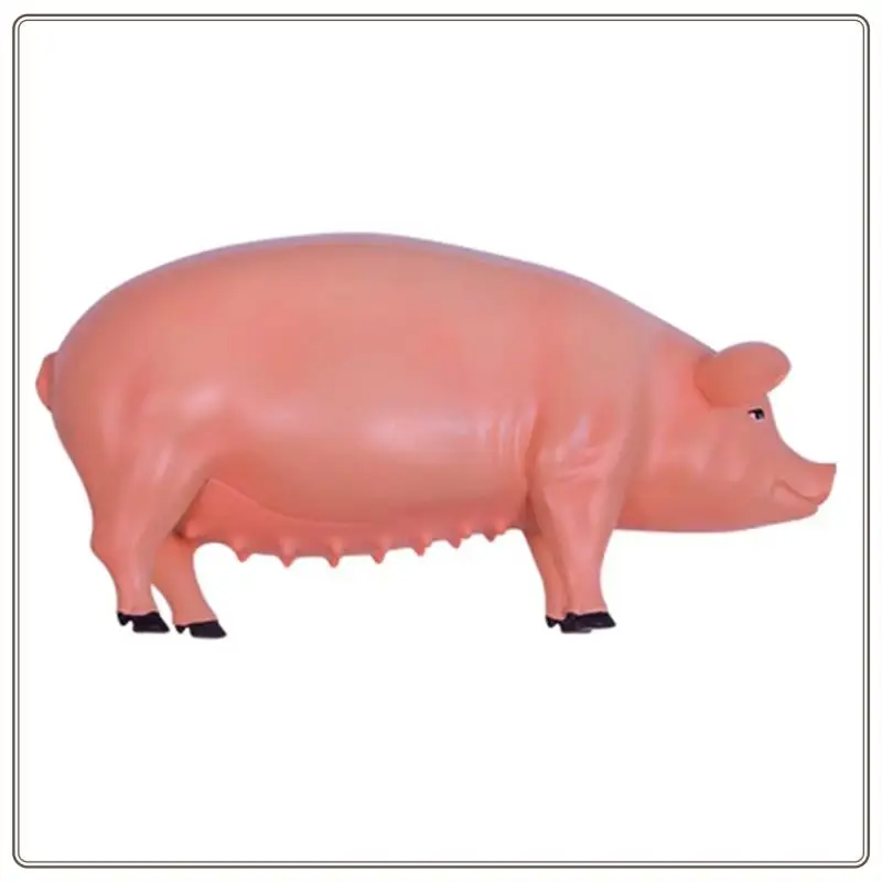 Reliable-4D Vision Pig Organ Anatomy Model Animal Puzzle For Kids And  Students Veterinary Teaching Model,4D Vision Pig O