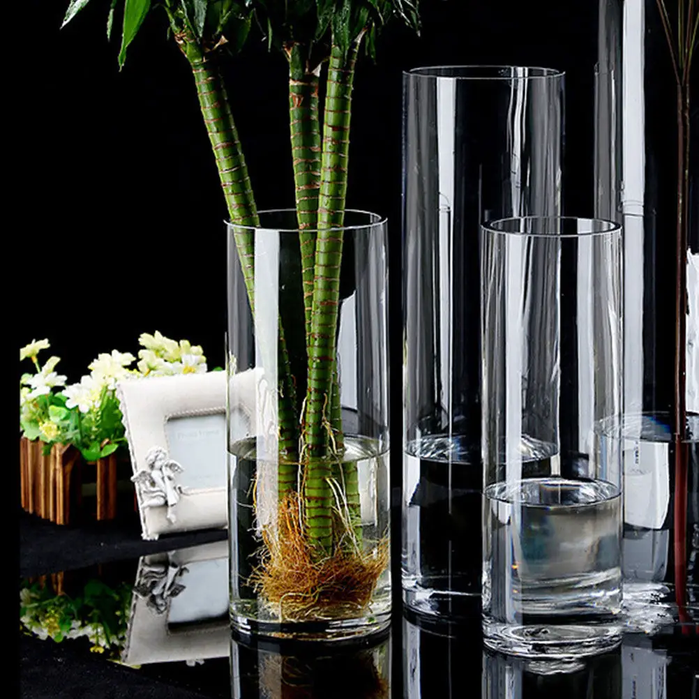 2Pcs Clear Glass Flower Vase Cylinder Bottle Vase for Flowers Decor Wedding Banquet Dinner Party Garden Office Hydroponic