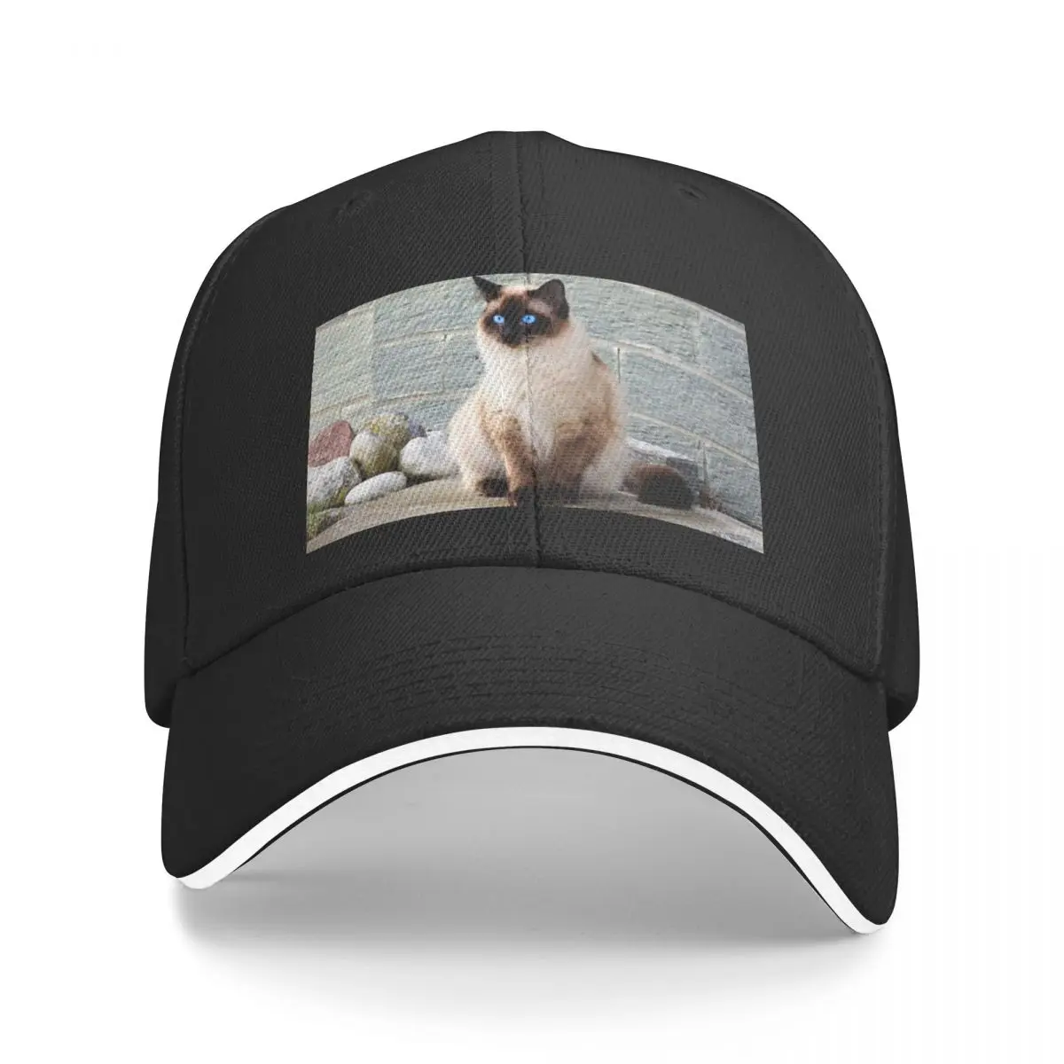 Animales de 7 puntos de sellado Ragdoll con ojos azules brillantes, gorras de béisbol, sombrero