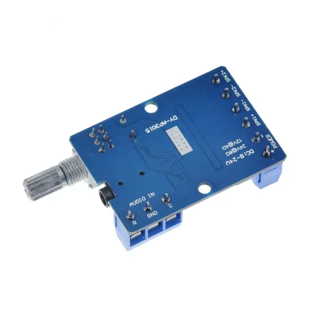 DY-AP3015 30W*2 Power Stereo Digital Amplifier Board 12V 24V Power Supply DIY Amplifier Module