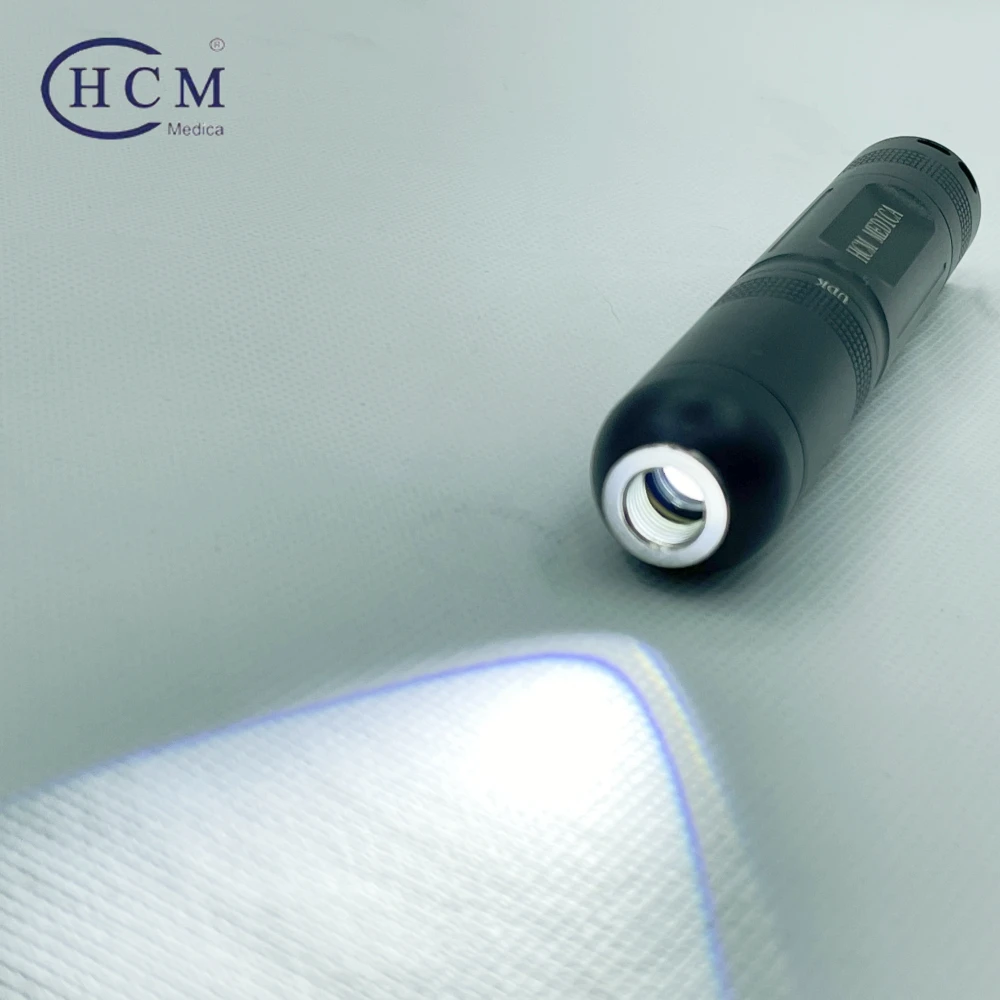 10W Medical Endoscopy Portable Handheld High Brightness ENT Diagnosis LED Mini Cold Endoscope ENT Light Source