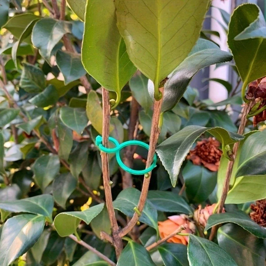 50PCS Garden Vine Strapping Clips Plant Bundled Buckle Ring Holder Tomato Plant Stand Support Tool Garden Tomato Grapevine Ties