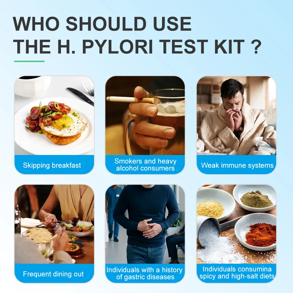 1/2/5 Test Helicobacter Pylori Stuhltestkits, H. Pylori Stuhl (Antigen) 15-Minuten-Schnelltest für zu Hause, das Ergebnis ist sehr genau. – Detail 2
