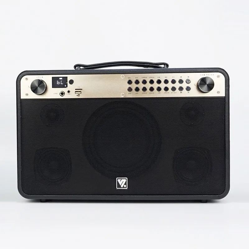 

SHENGYOU Q9S 100W Factory New Design Guitar Amplifier ECHO Treble Bass Sound Wireless Microphone Instrument Sound