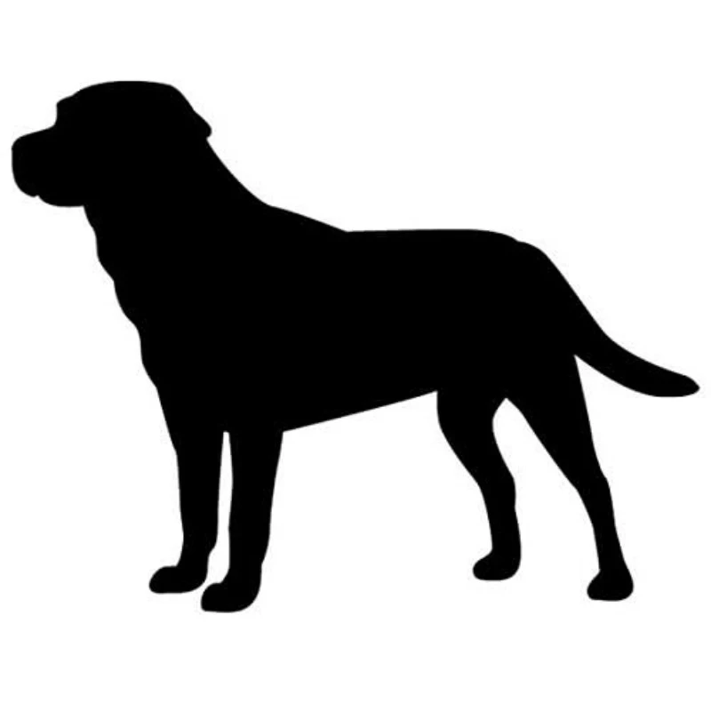 

Автомобильная наклейка rLabrador Retriever Dog наклейка виниловая наклейка | Автомобили Грузовики Фургоны Стены Ноутбук 15CM ПВХ КК