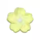 Thumbnail 22
