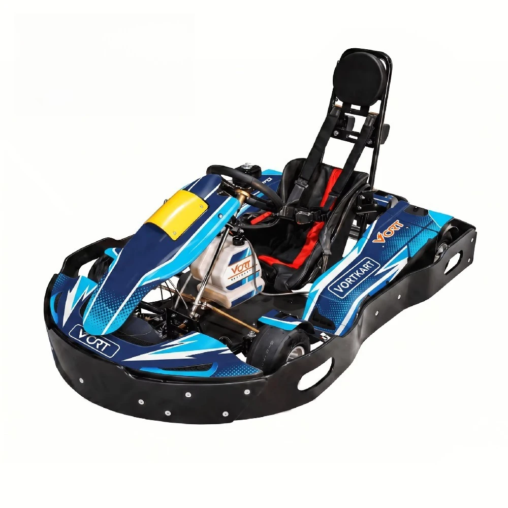 200cc 150cc Go Kart Racing Kart for Professional Clubs and Track Operators
