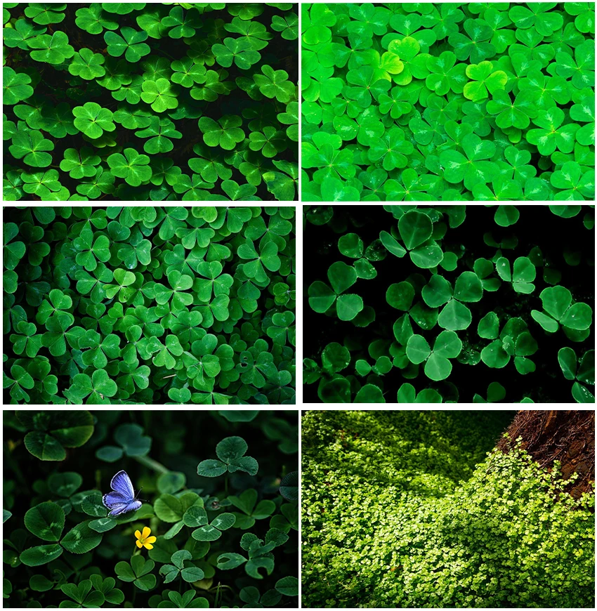 

Spring Green Leaves Clover Backdrops Baby Shower Birthday Party Backgrounds Child Portrait Banner Decor Photocall Studio Props