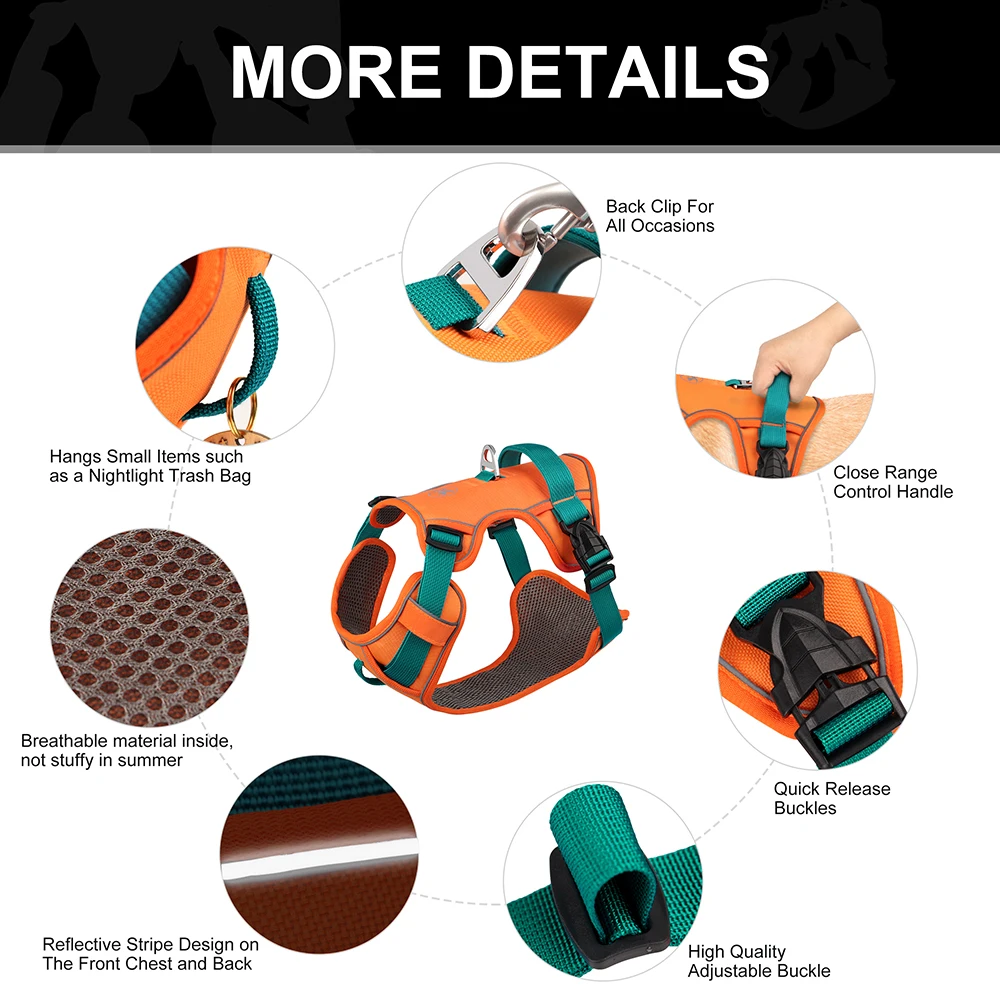 Thumbnail 3 - #25 Trending Dog Harnesses Right Now