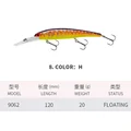 12CM-20G-H