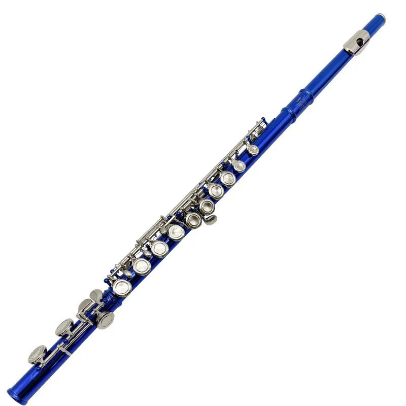 Wholesale color 16 hole E key blue purple student beginner professional practice flute