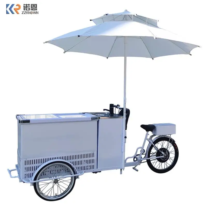 48V DC Battery Powered Freezer Electric Bicycle Food Sales Shop Ice Cream Coffee Hot Dog Mobile Booth Mobile Restaurant