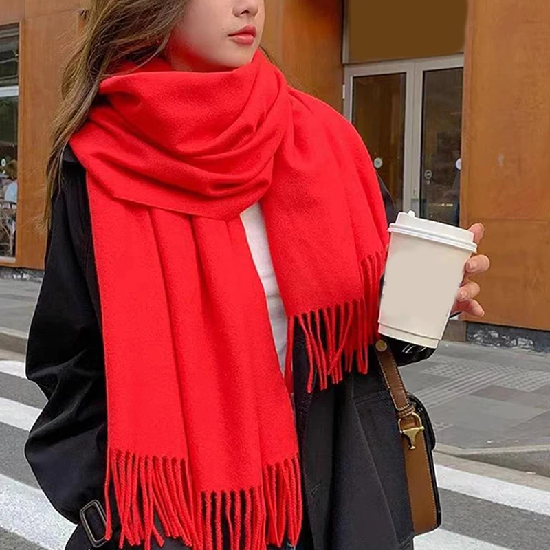 Autumn And Winter New Imitation Cashmere Scarf Solid Color Thickened Warm Fashion Versatile Tassel Shawl High-end