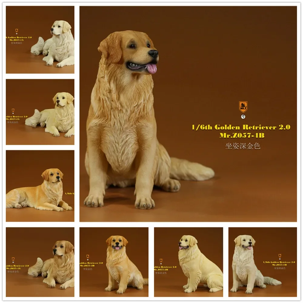 Mr.Z 1/6 Golden Retriever Figure Pet Dog Animal Model Colllector Decor Toys Animals Collection Decoration