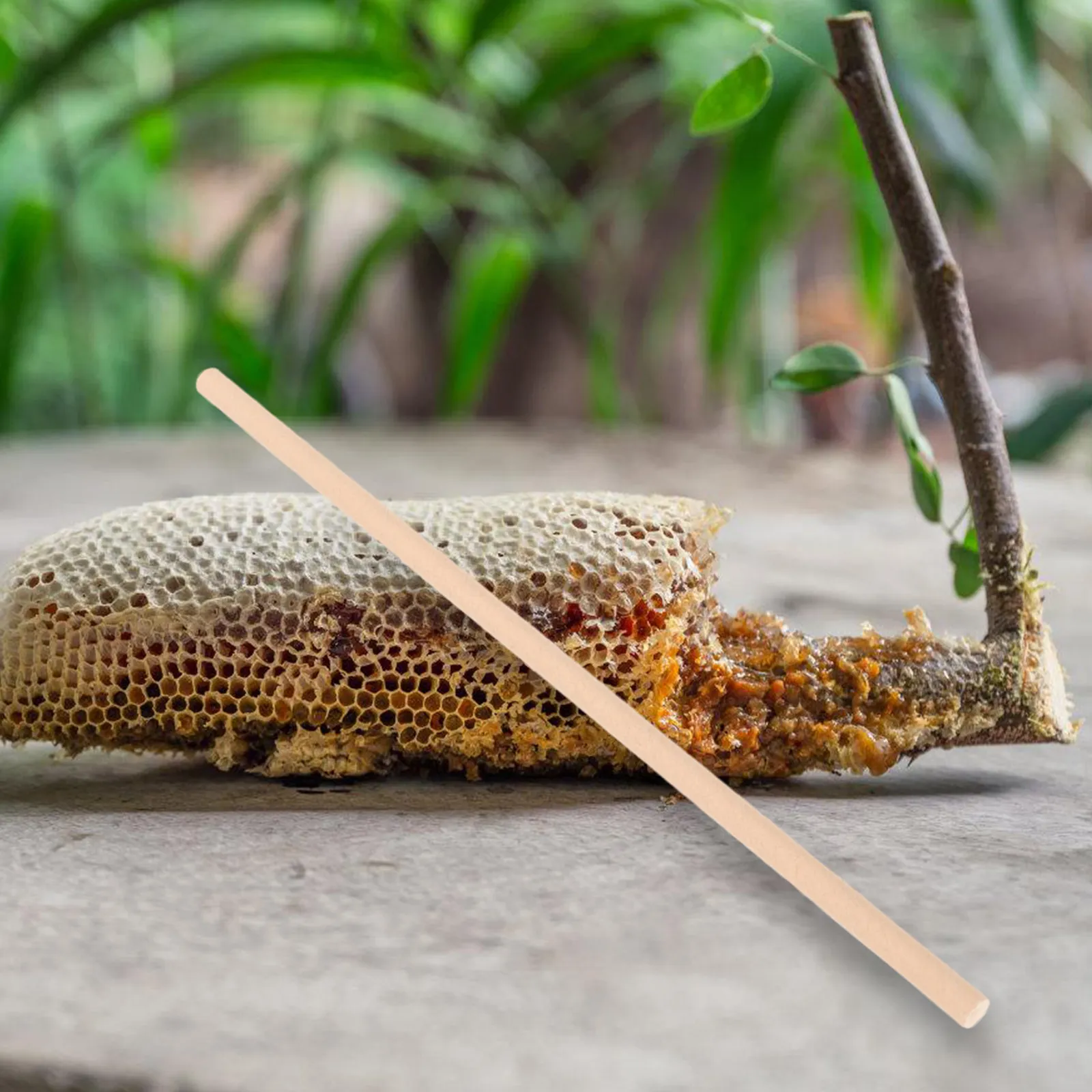 

100 шт. натуральных сменных трубок для пчел, трубки для ульев, вставки для гнездов, инструменты для пчеловодства, товары для пчеловодов