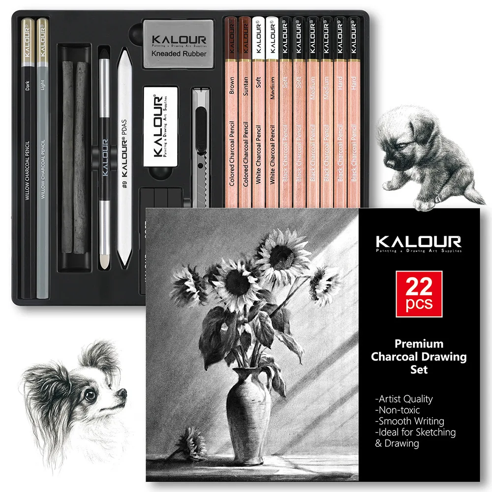 

Kalour New 22Pcs/Set Professional Sketch Pencil Drawing Art Tool Kit Charcoal Portable Artist Art Supplies Sketch Pencil Set