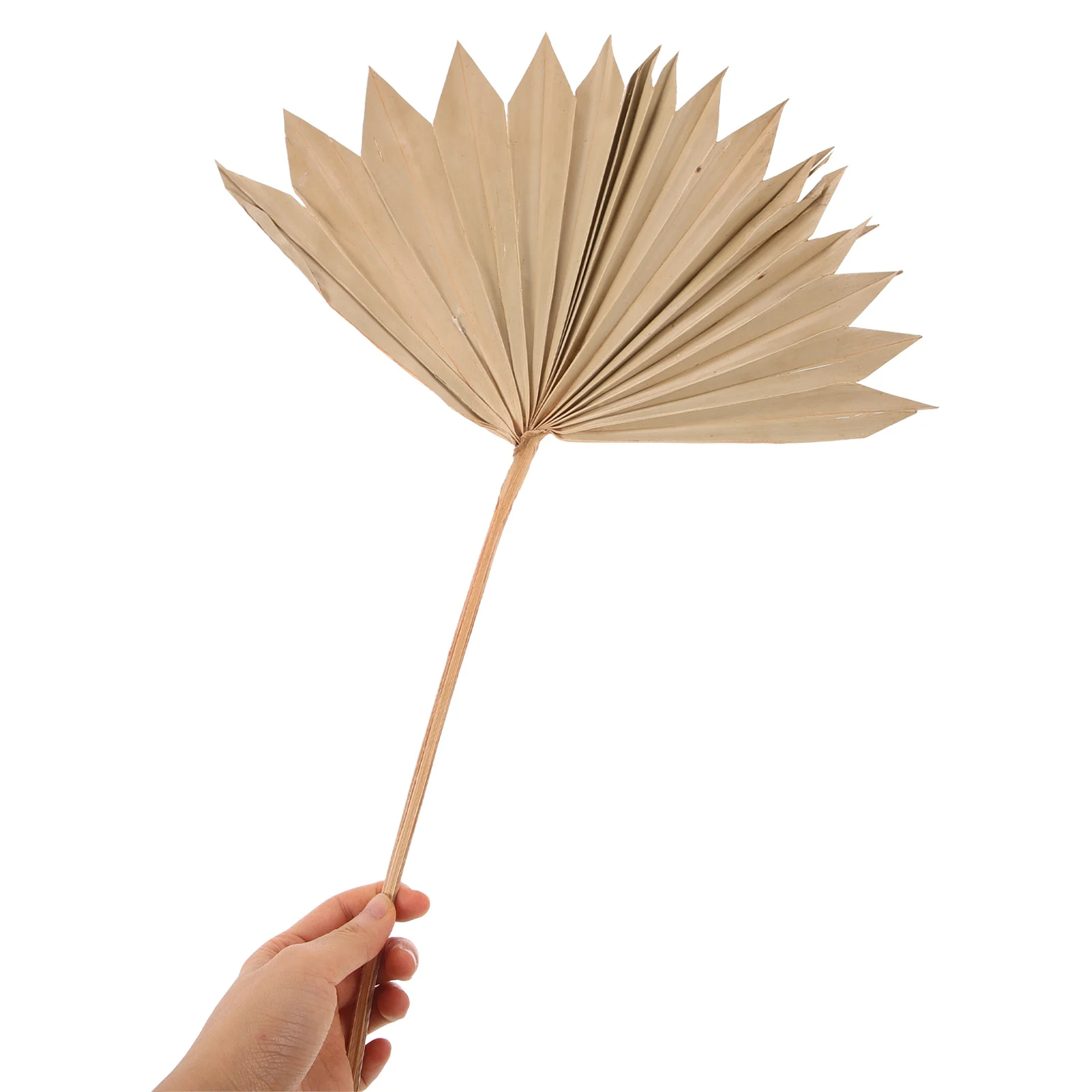 4 szt. Dekoracji z liści palmowych na ślub, do domu, rekwizyt fotograficzny, boho, dekoracja ścienna, kompozycja kwiatowa, suszone liście, aranżacja z liści