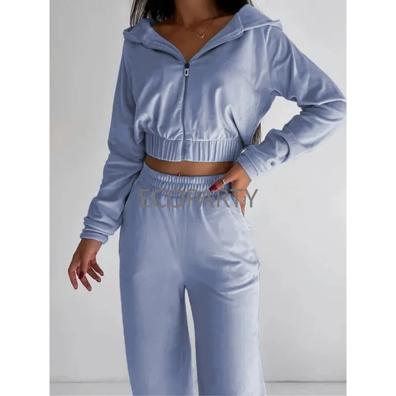 Autumn Casual Long-sleeved Hoodie Tracksuit Solid Color Zipper Crop Top Elastic Pants Velour Two Piece Sets Women's Outfits