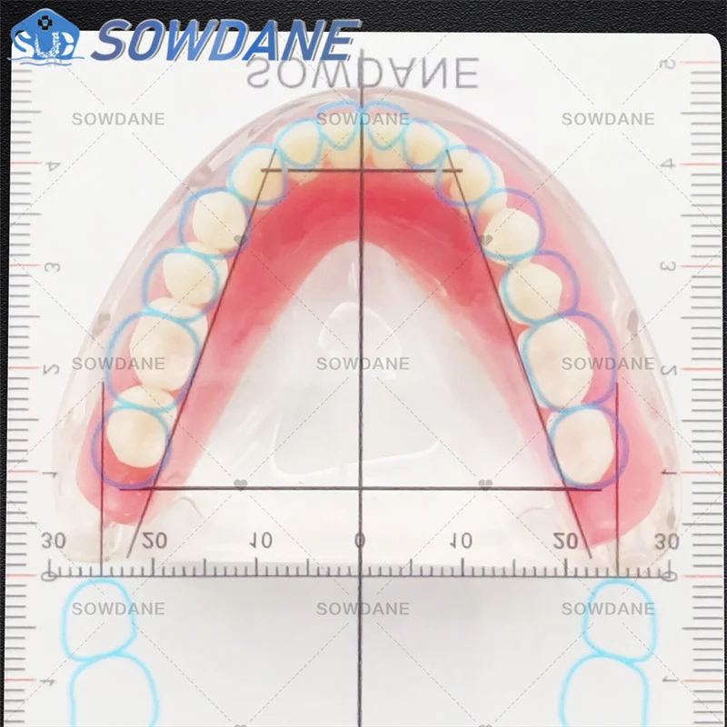 틀니 작업에 새로운 치과 실험실 가이드 플레이트 치아 배열 치과 치아 가이드 플레이트 눈금자