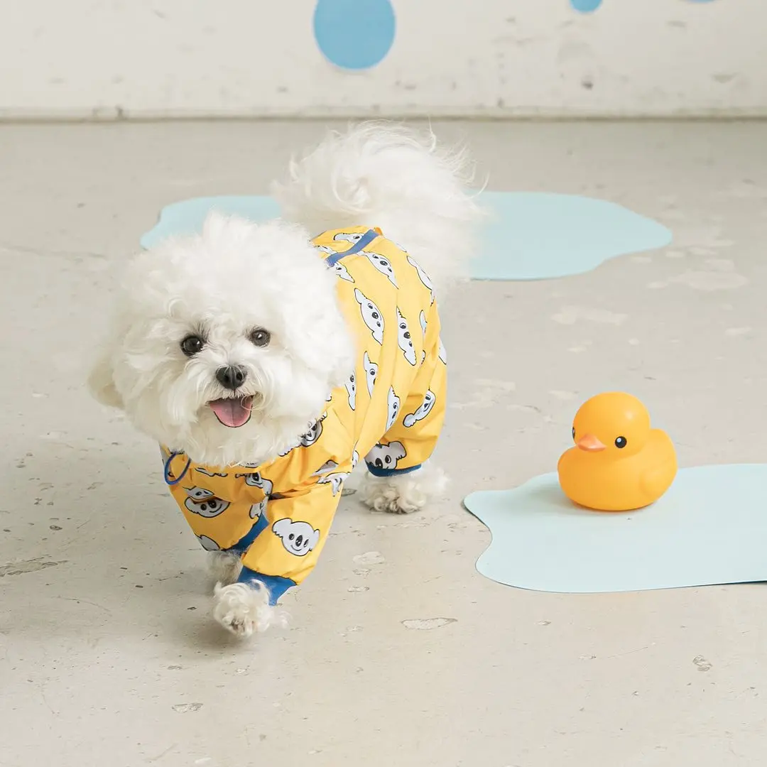 Poncho de Pluie Imperméable pour Chien de Taille Moyenne, Petit Gabarit à Quatre Pattes, Teddy Bichon