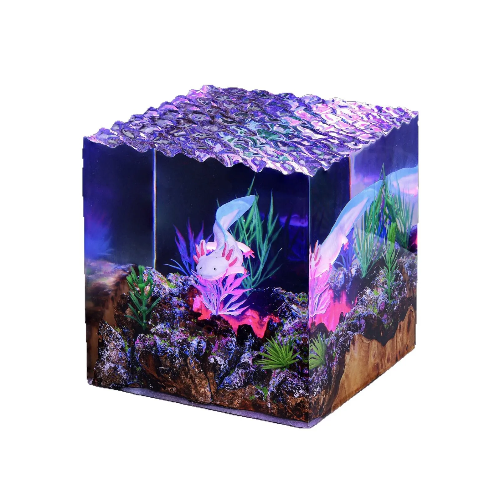 Epoxy Resin Luminous Decorative Items Home Decoration Handicrafts  American Salamander Water World Are Like Unique Gifts