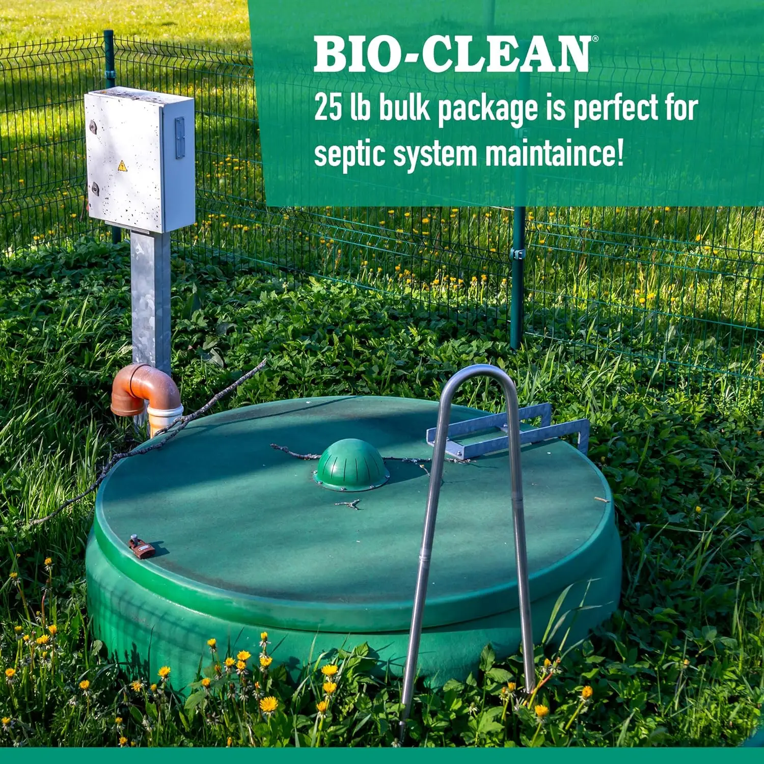 

Drain Septic Bacteria (25lb Bulk) Cleans Drains- Septic Tanks - Grease Traps All Natural and 100% Guaranteed No Caustic Chemica