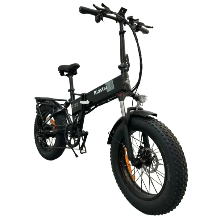 

20 Inch Full Suspension Electric Bike: 48V Lithium Battery Fat Tire E-MTB for Adults