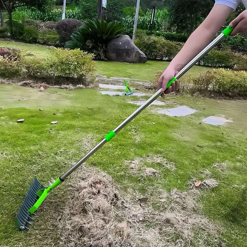 Imagem -02 - Stainless Steel Lawn Thatching Rake Ferramenta de Jardinagem Cleaner Fácil de Montar Garden Solo Rake Lawn Grass